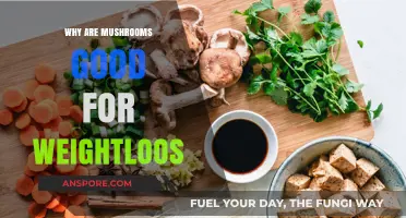 Mushrooms for Weight Loss: Nutrient-Packed, Low-Calorie Superfood Benefits