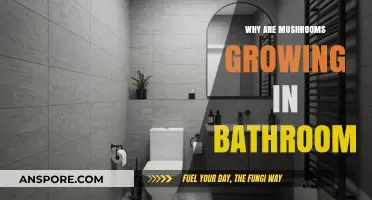 Why Mushrooms Thrive in Your Bathroom: Causes and Solutions
