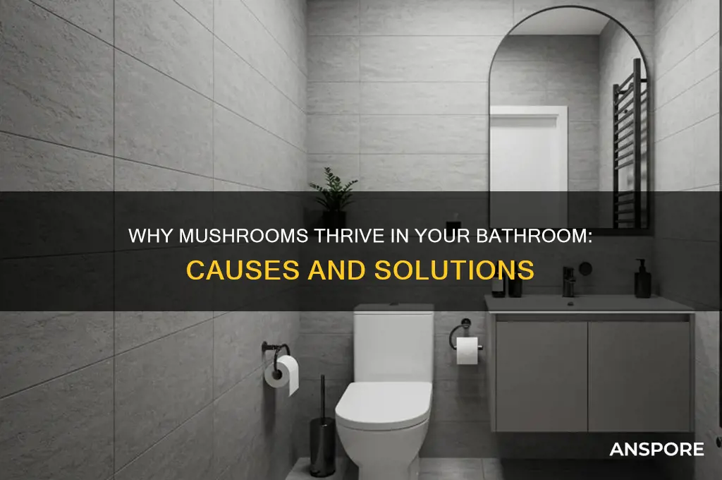 why are mushrooms growing in bathroom