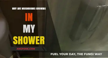 Why Mushrooms Thrive in Your Shower: Causes and Solutions