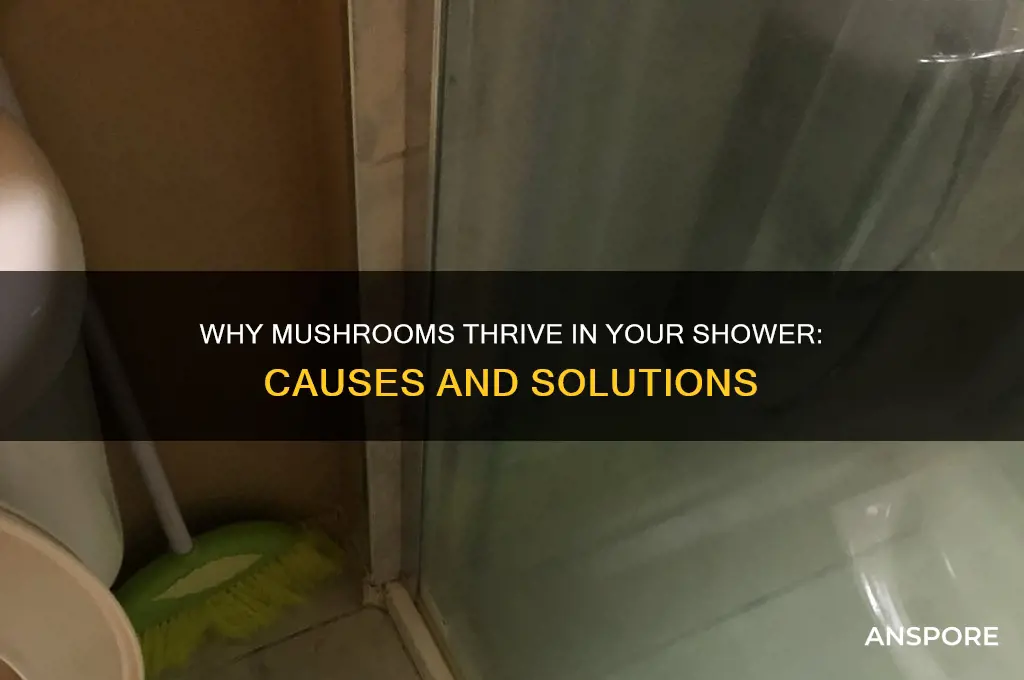 why are mushrooms growing in my shower