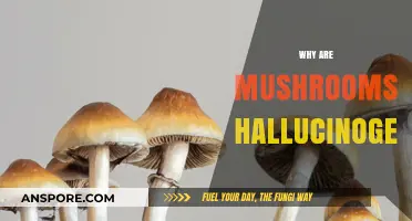 Mushrooms' Hallucinogenic Powers: A Natural High Explained