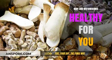 Mushrooms: Unlocking Nutrient-Rich Benefits for Optimal Health and Wellness