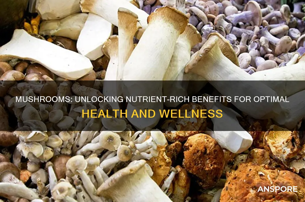 why are mushrooms healthy for you