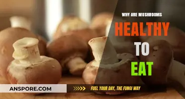 Mushrooms: Nutrient-Packed Superfood Benefits for Health and Wellness