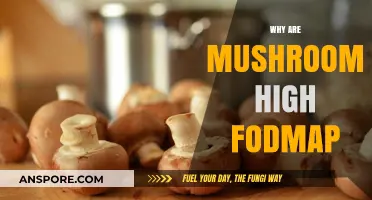 Mushrooms: High FODMAP Foods to Avoid