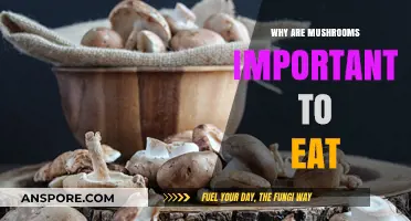 Mushrooms: Nutritional Powerhouses and Their Vital Role in Healthy Diets