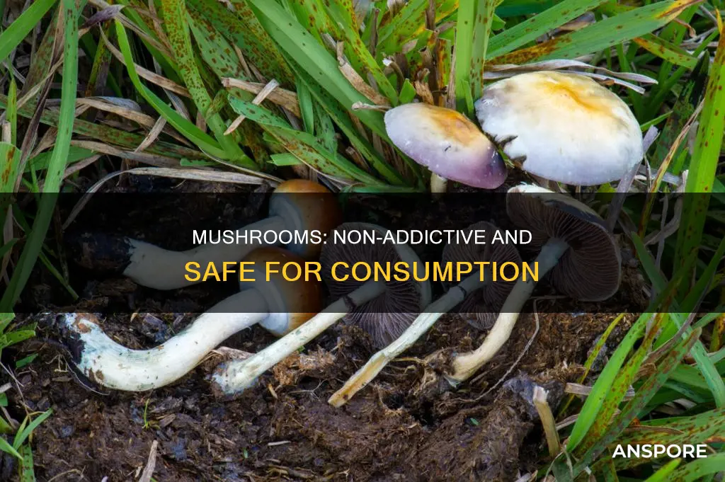 why are mushrooms not addictive