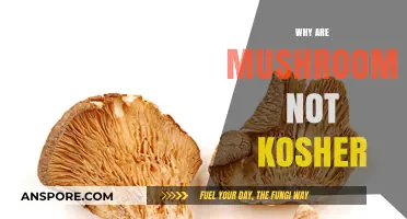 Mushrooms: Kosher Conundrum and the Jewish Dietary Laws