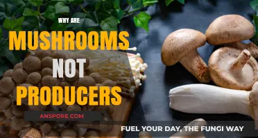Mushrooms: Consumers in Disguise