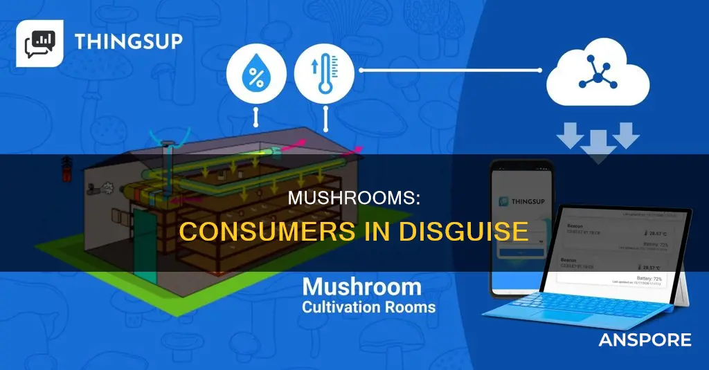 why are mushrooms not producers