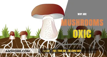 Mushrooms: Oxic and Thriving