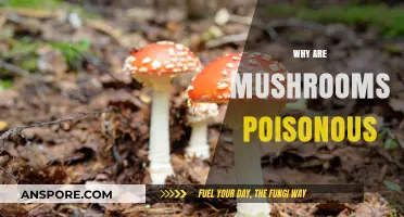 Unveiling the Toxic Truth: Why Some Mushrooms Are Poisonous