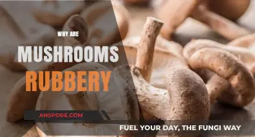 Mushrooms' Rubberiness: A Culinary Mystery Unveiled