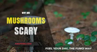 Mushrooms: Nature's Scary Little Secrets