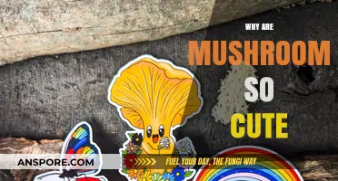 The Charm of Fungi: Why Mushrooms Are Adorable