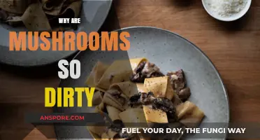 Mushrooms: Why Are They So Filthy?