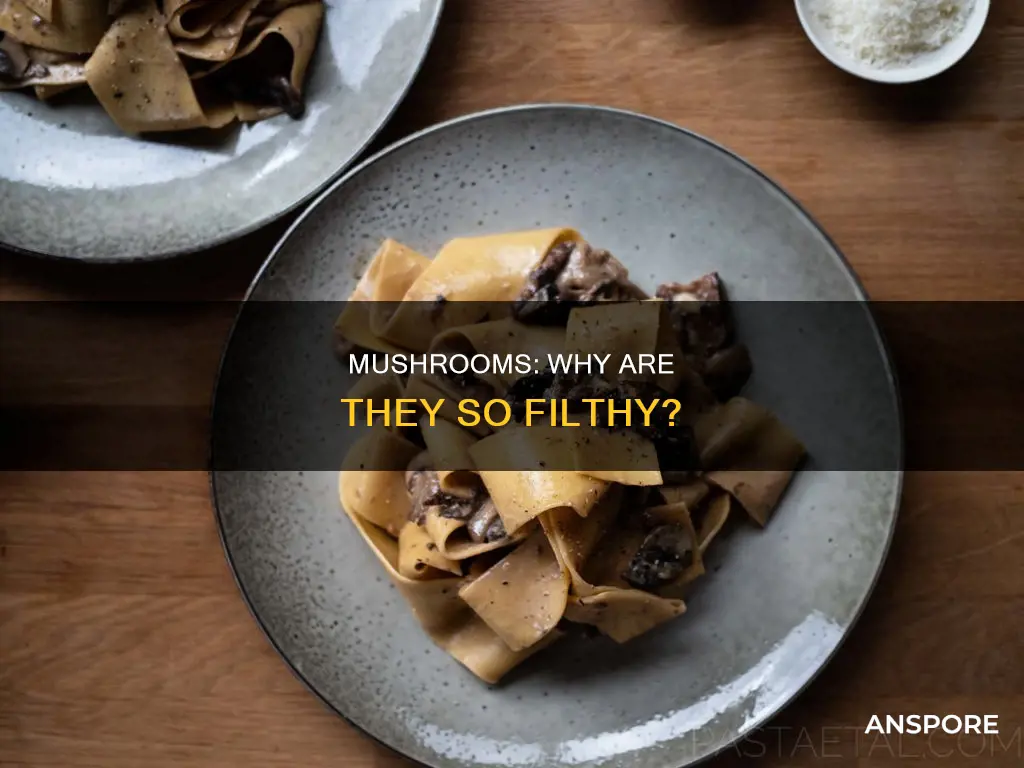 why are mushrooms so dirty