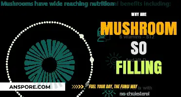 Mushrooms: Nature's Filling Superfood
