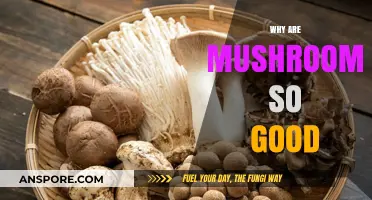 Mushrooms: Nature's Superfood for Health, Flavor, and Sustainability