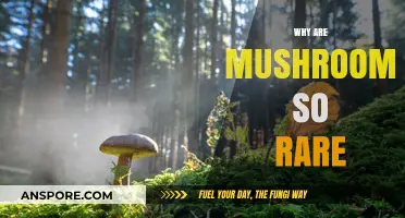 Mushrooms: Nature's Rare Delicacy