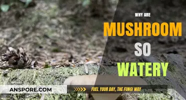 Mushrooms: Why So Much Water?