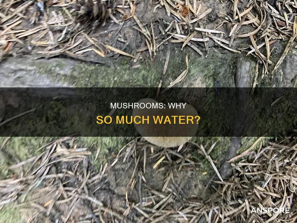 why are mushrooms so watery