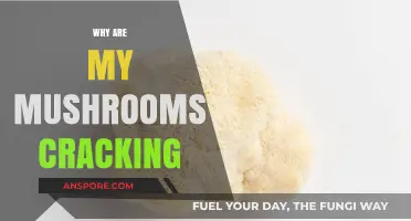 Mushroom Cracking: What's the Deal?