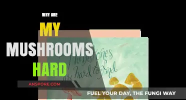Mushroom Hardness: Why Does it Happen?