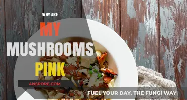 Mysterious Pink Mushrooms: Why the Color?