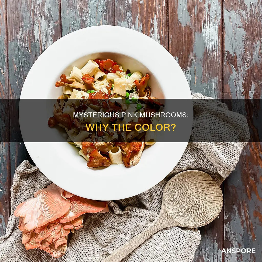 why are my mushrooms pink