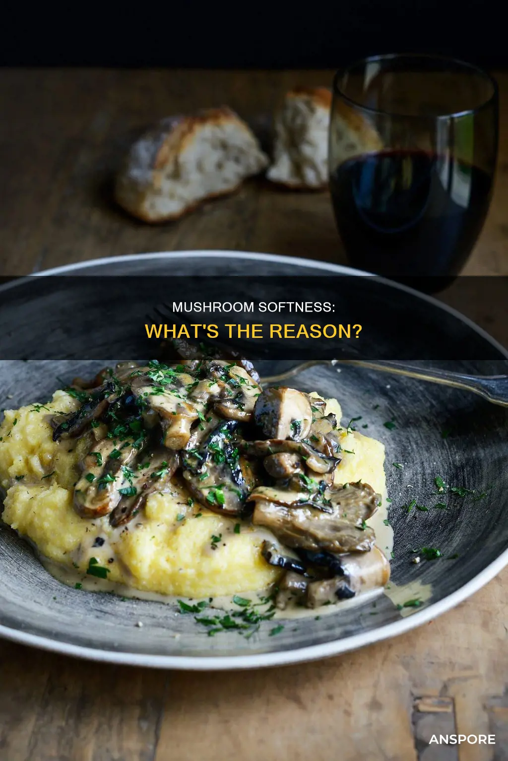 why are my mushrooms soft