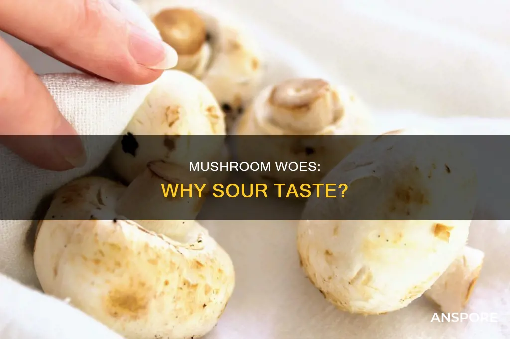 why are my mushrooms sour