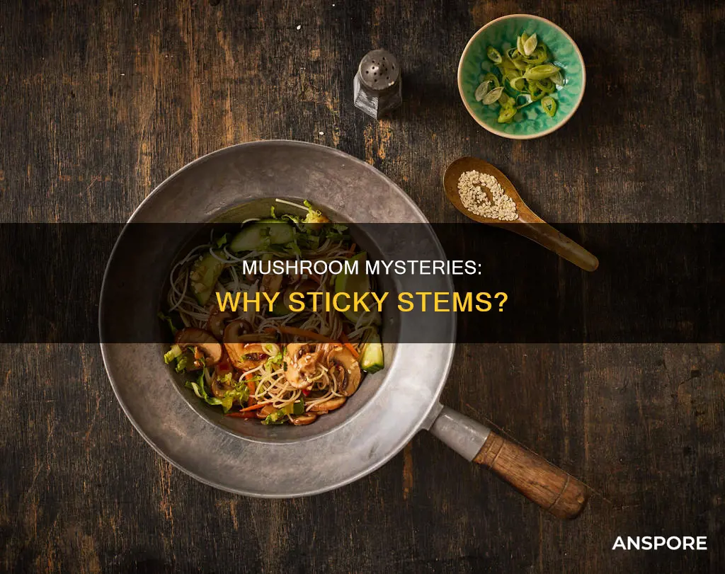 why are my mushrooms sticky