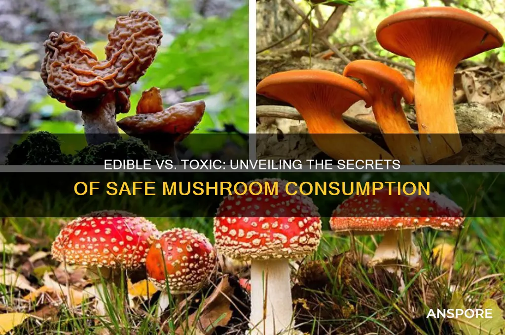 why are only some mushrooms safe to eat