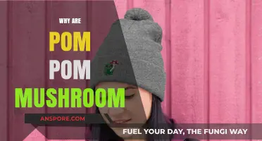 Pom Pom Mushrooms: Nature's Fluffy Fungi