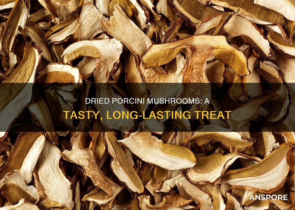 why are porcini mushrooms dried
