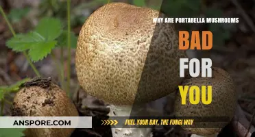 Portabella Mushrooms: Hidden Health Risks You Need to Know