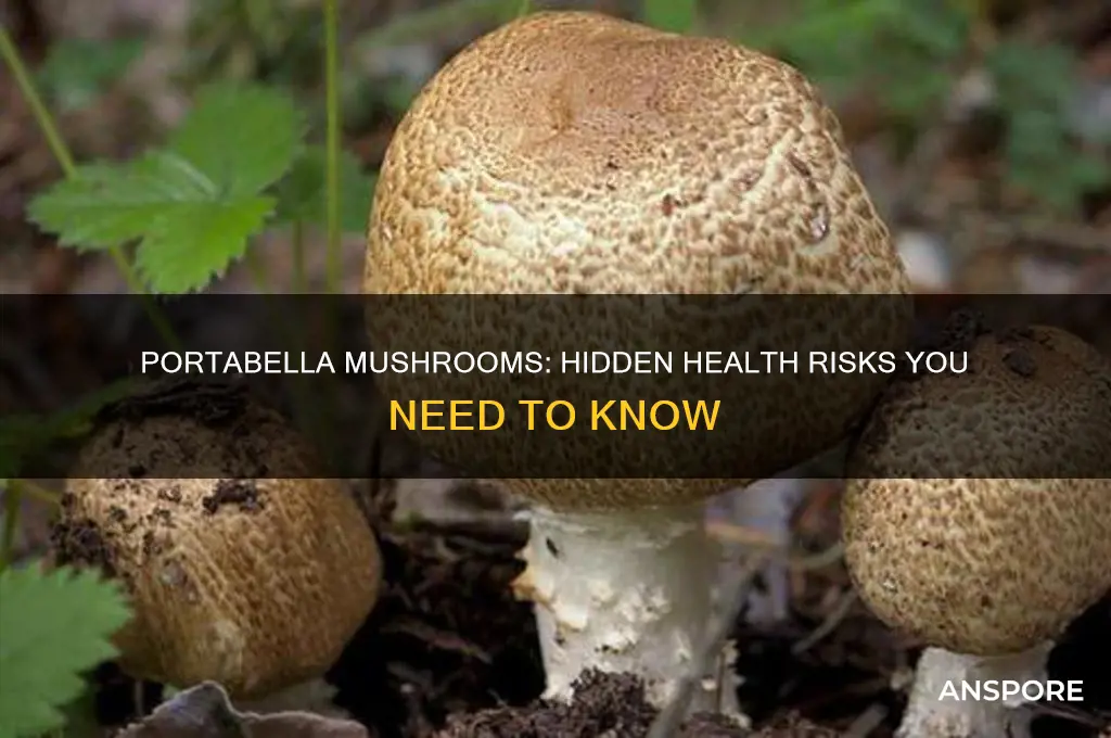 why are portabella mushrooms bad for you