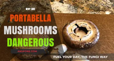 Portabella Mushrooms: A Dangerous Delicacy