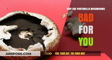 Portobello Mushrooms: Hidden Health Risks You Need to Know