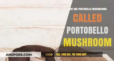 The Surprising Origin Story of Portobello Mushrooms Explained
