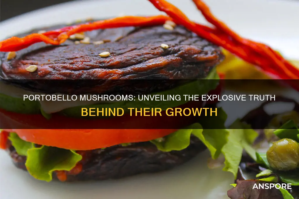 why are portobello mushrooms explosive