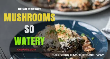 Why Portobello Mushrooms Get Watery: Causes and Solutions Explained