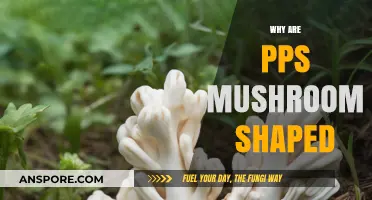 Mushroom-shaped PPS: Why this Unique Design?