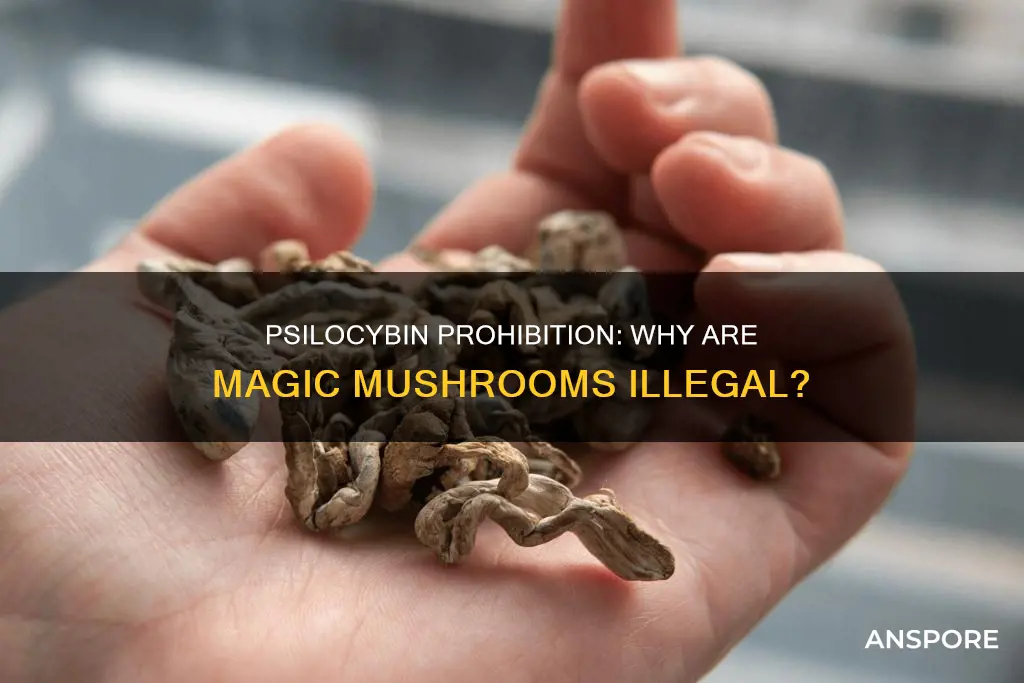 why are psilocybin mushrooms illegal