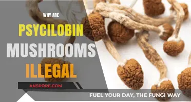 Psychedelic Mushroom Prohibition: Why the Ban?