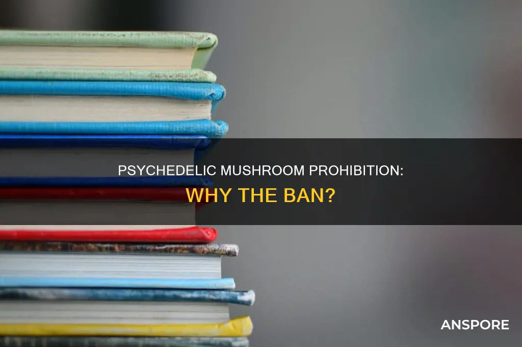 why are psycilobin mushrooms illegal