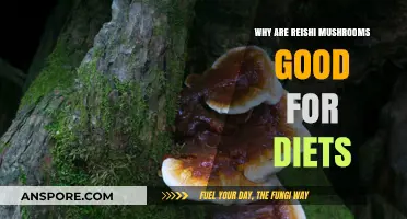 Reishi Mushrooms: A Powerful Diet Ally for Weight Loss