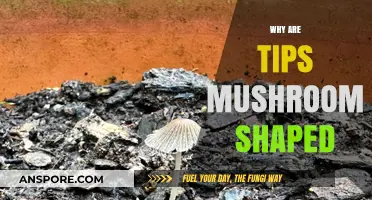 Mushroom-Shaped Tips: Why This Design?